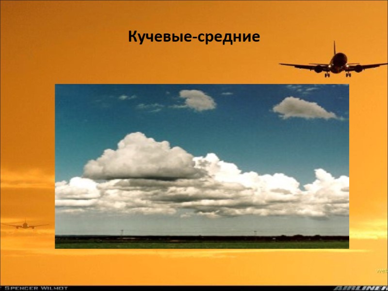 Кучевые-средние